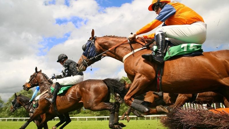 Corrida de Cavalos 67Bet - A Confiabilidade da Plataforma