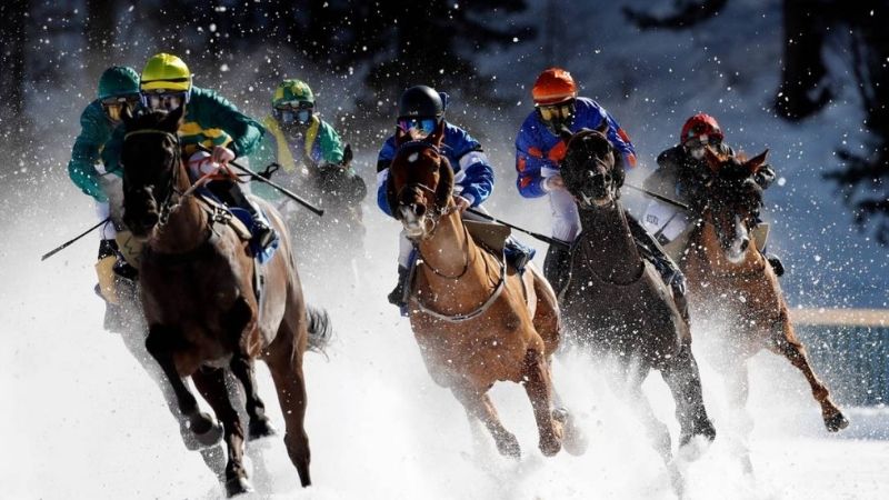 Variedade de Corridas de Cavalos e Experiência do Usuário na 67Bet