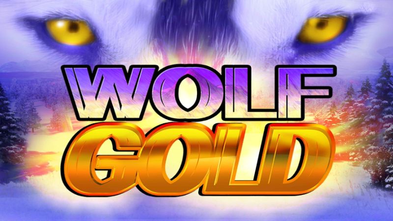 Wolf Gold 67Bet -  Acesso e Experiência de Jogo